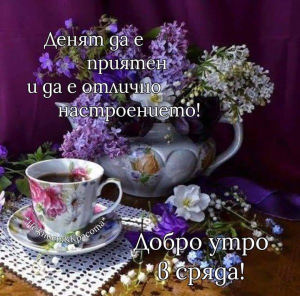 Добрый вечер картинки