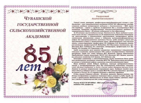 Диплом юбиляра 60 лет мужчине