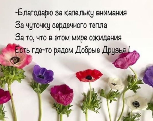 Добрые пожелания и высказывания