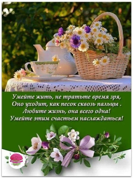 Мудрые пожелания с добрым утром