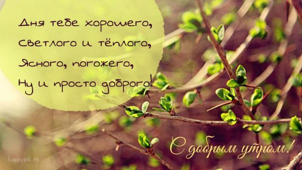 Мудрые высказывания утром