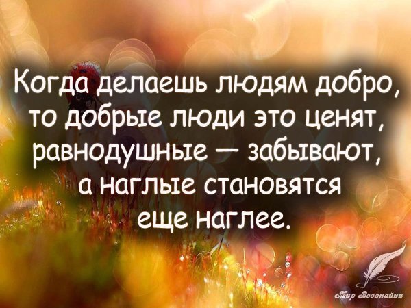 Добрые высказывания