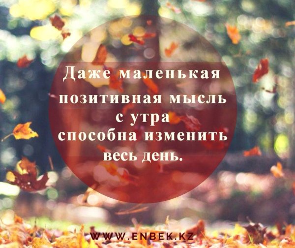 Позитивные афоризмы