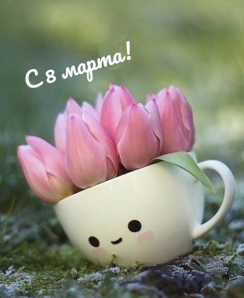 СЦП 1254 чашка
