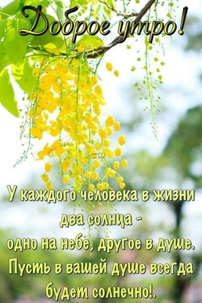 Позитивные пожелания с добрым весенним утром