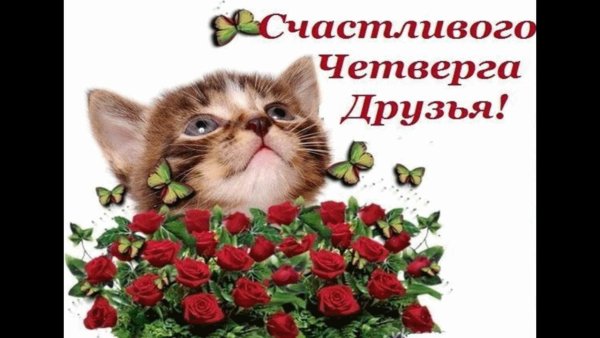 Открытки счастливого четверга