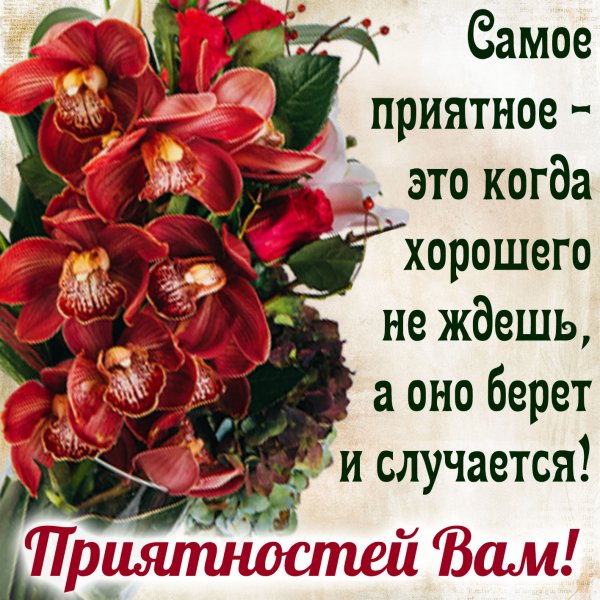 Самые добрые пожелания на день