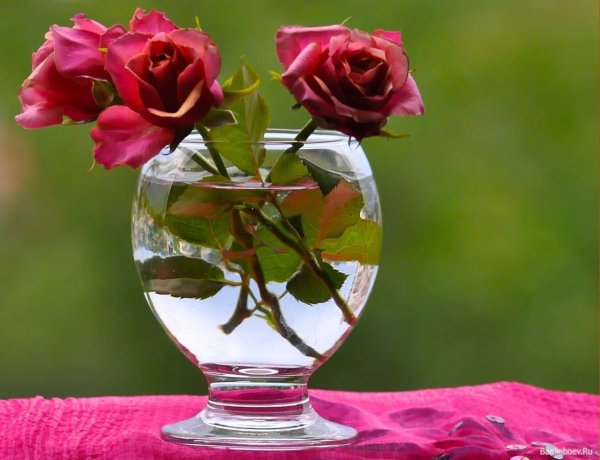 Открытки с добрыми словами