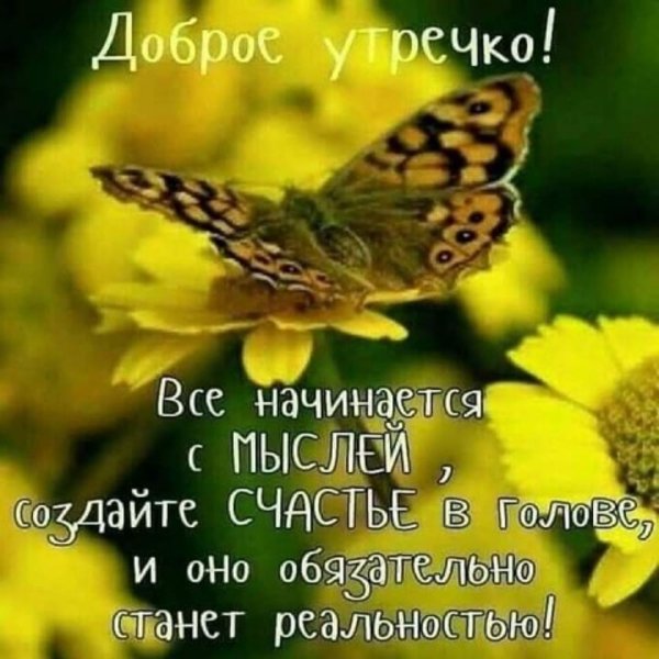 Мудрые высказывания с добрым утром