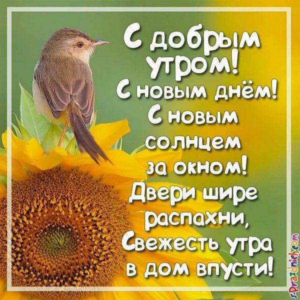 Пожелания с добрым утром в стихах