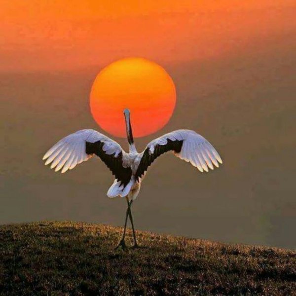 Красивые цитаты