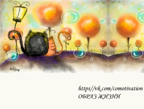 Доброго дня философские высказывания