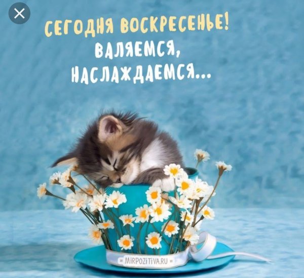 Прикольные поздравления с воскресеньем