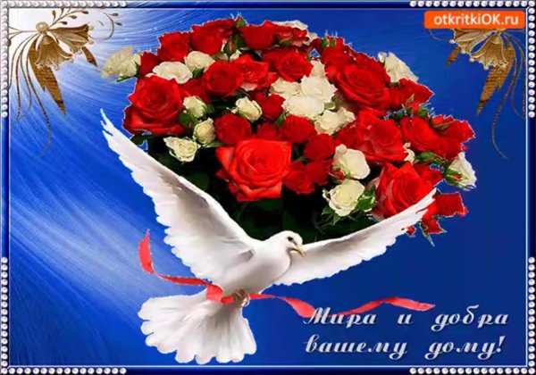 Мира счастья и добра