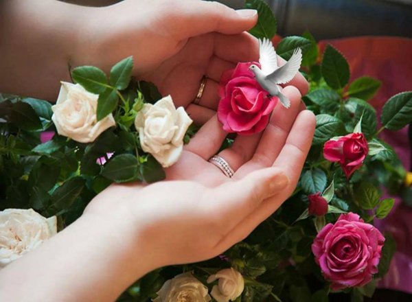 Красивые открытки для друзей с пожеланиями