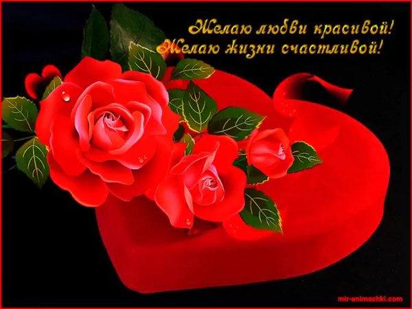 Цветы с пожеланиями счастья