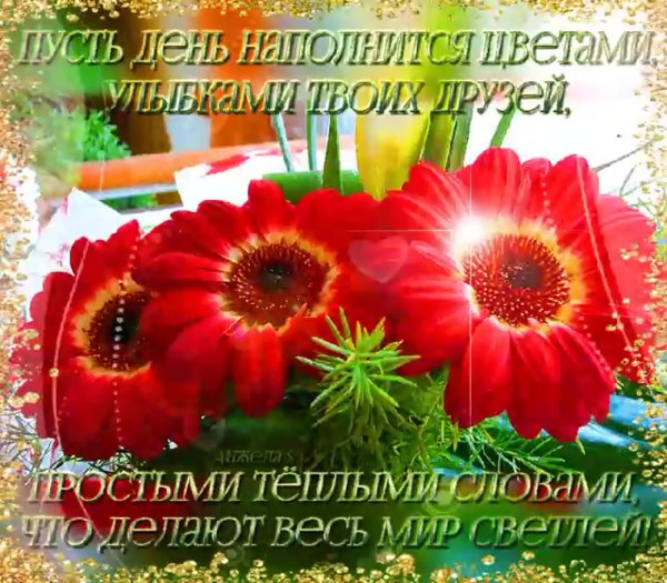 Добрые пожелания на каждый день