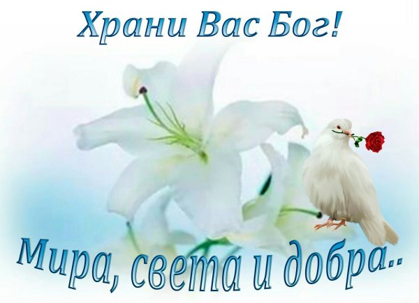Доброетутро, храни вам Бог