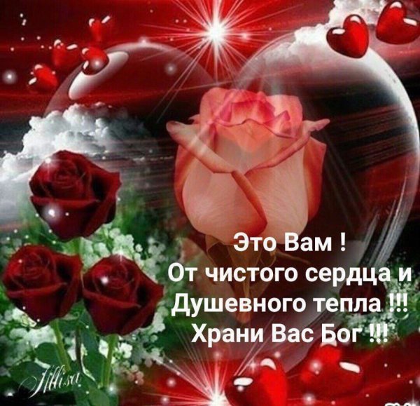Душевные пожелания