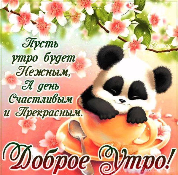 Открытки с добрым утром с надписями