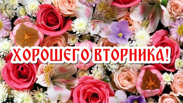 С добрым утром вторн ка