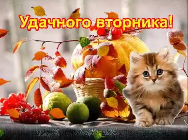 Хорошего вторника