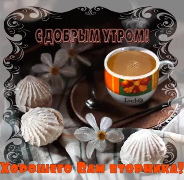 Доброе утро вторника