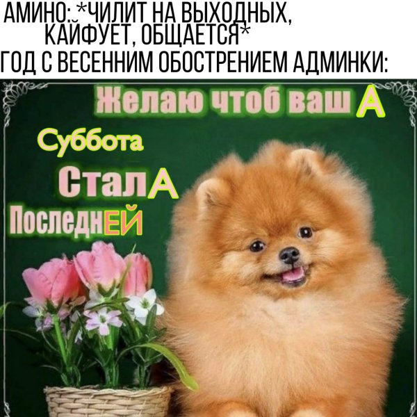 Доброе утро вторника