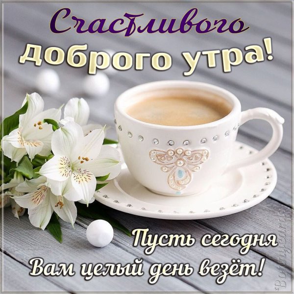 Доброе утро вторника