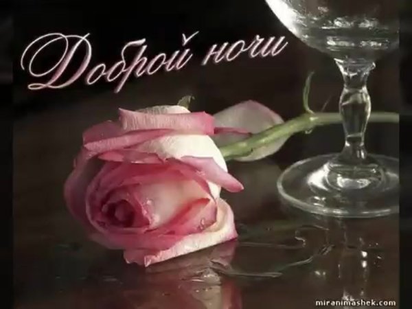 Спокойной ночи розы