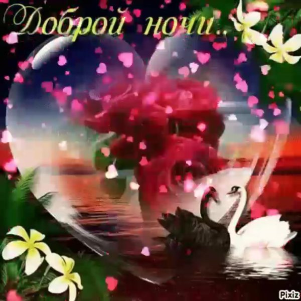 Спокойной ночи лебеди