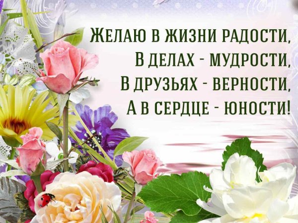 Картинки с пожеланиями мой взгляд на прекрасное мудрыми (47 фото)