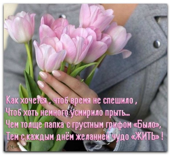 Приветствия и пожелания на каждый день