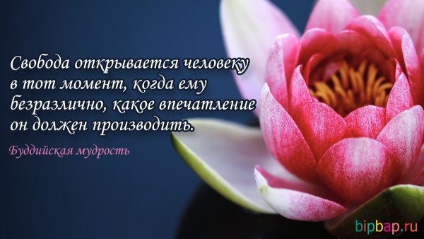 Картинки с надписями со смыслом