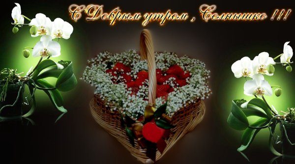 Красивые букеты цветов с добрым утром