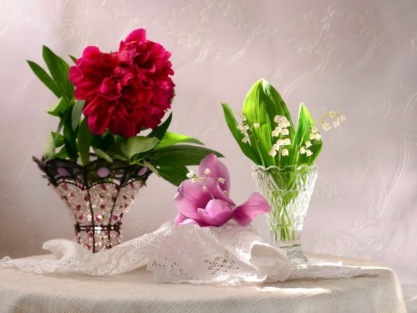 Цветы с пожеланиями хорошего дня