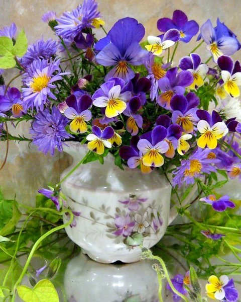 Фиалка летний букет