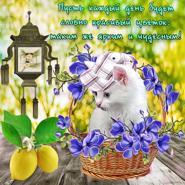 Пожелания на каждый день