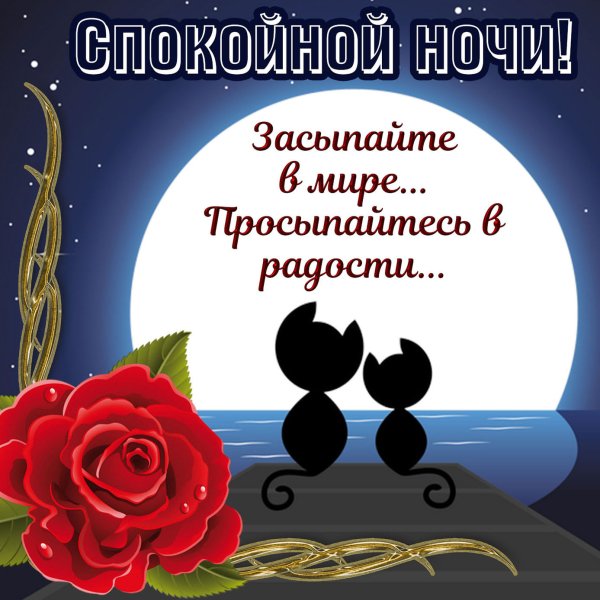 Доброго вечера и спокойной ночи