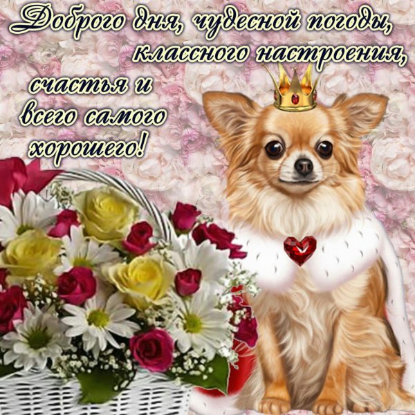 Хорошие пожелания