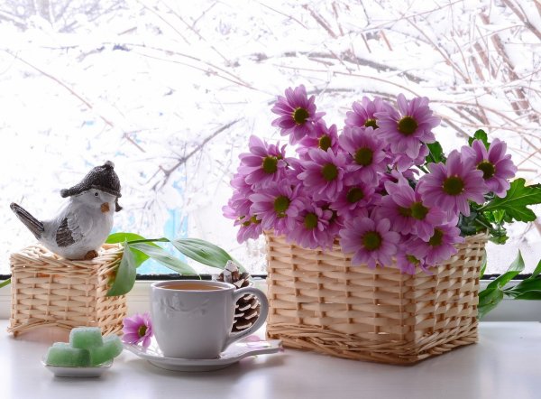 Живите от души