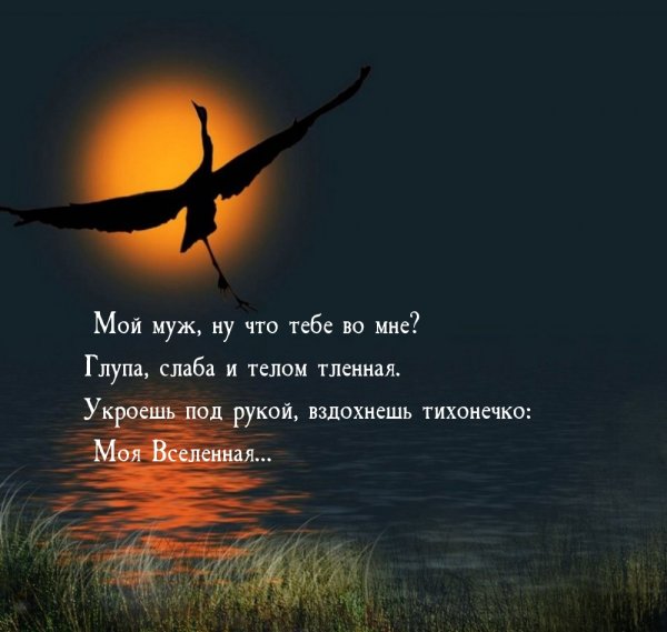Приветствия и пожелания открытки на каждый день