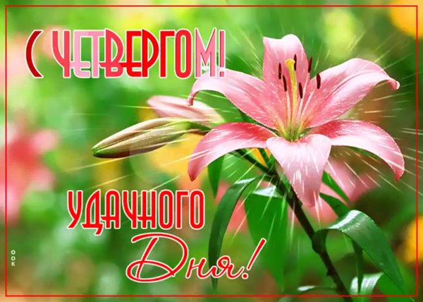 Прекрасного четверга гифки