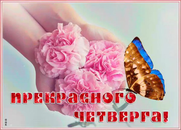 Прекрасного четверга