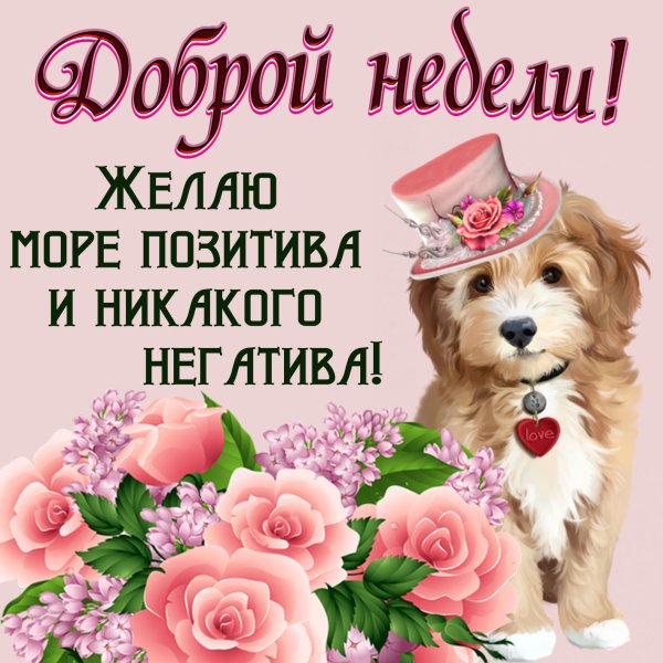 Открытки хорошей недели