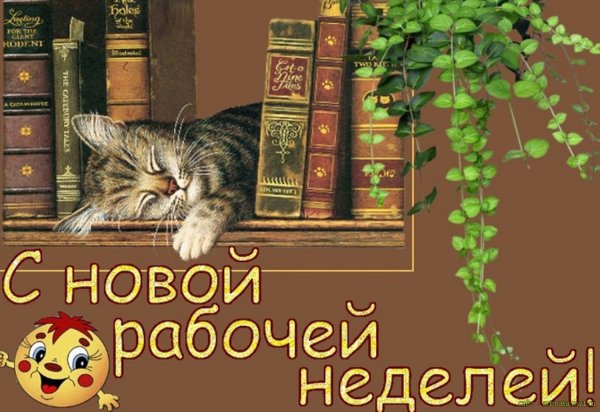 Поздравление с началом недели
