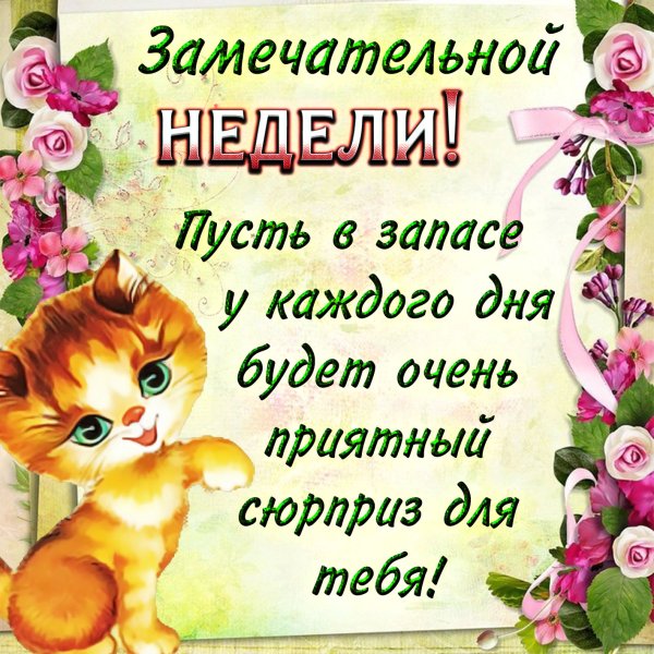 Открытки с добрым понедельником
