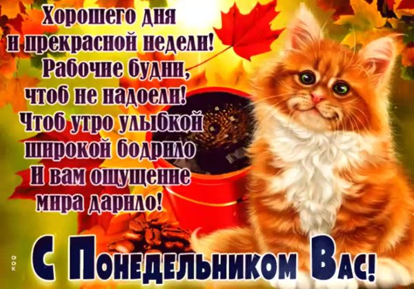 Открытки с понедельником