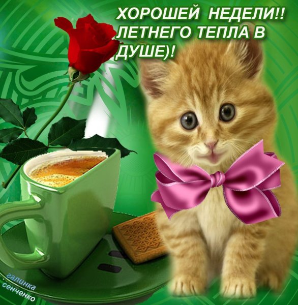 Удачной недели картинки