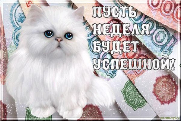 Добрый вечер понедельника
